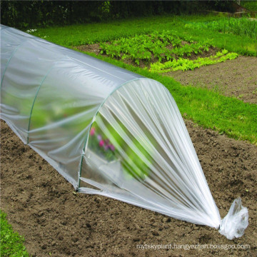 China wholesale new import uv treated plastic film greenhouse